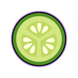 Citrus Luxe Cucumber Slice Cookie Cutter and Stamp