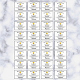 Graduation Cake pop Kits