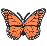 Butterfly Shoe Charms