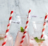 PEPERMINT RED SPIRAL PAPER STRAWS