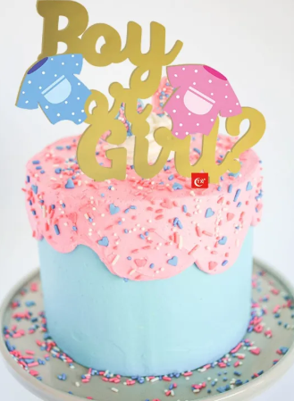 Mini Boy or Girl Gender Reveal