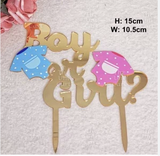 Mini Boy or Girl Gender Reveal