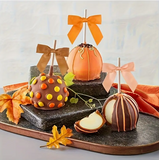 5 Colors of Orange Autumn Twist Bows 3.15