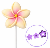 Flower Plumeria Cake Pop Mold W Embosser