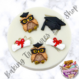 Graduation Owl Silicone Mold #1