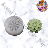 Succulent Silicone Mold