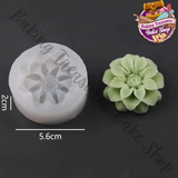 Succulent Silicone Mold