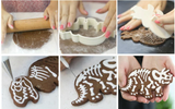 Dinosaur Cookies Cutter & Embosser Set
